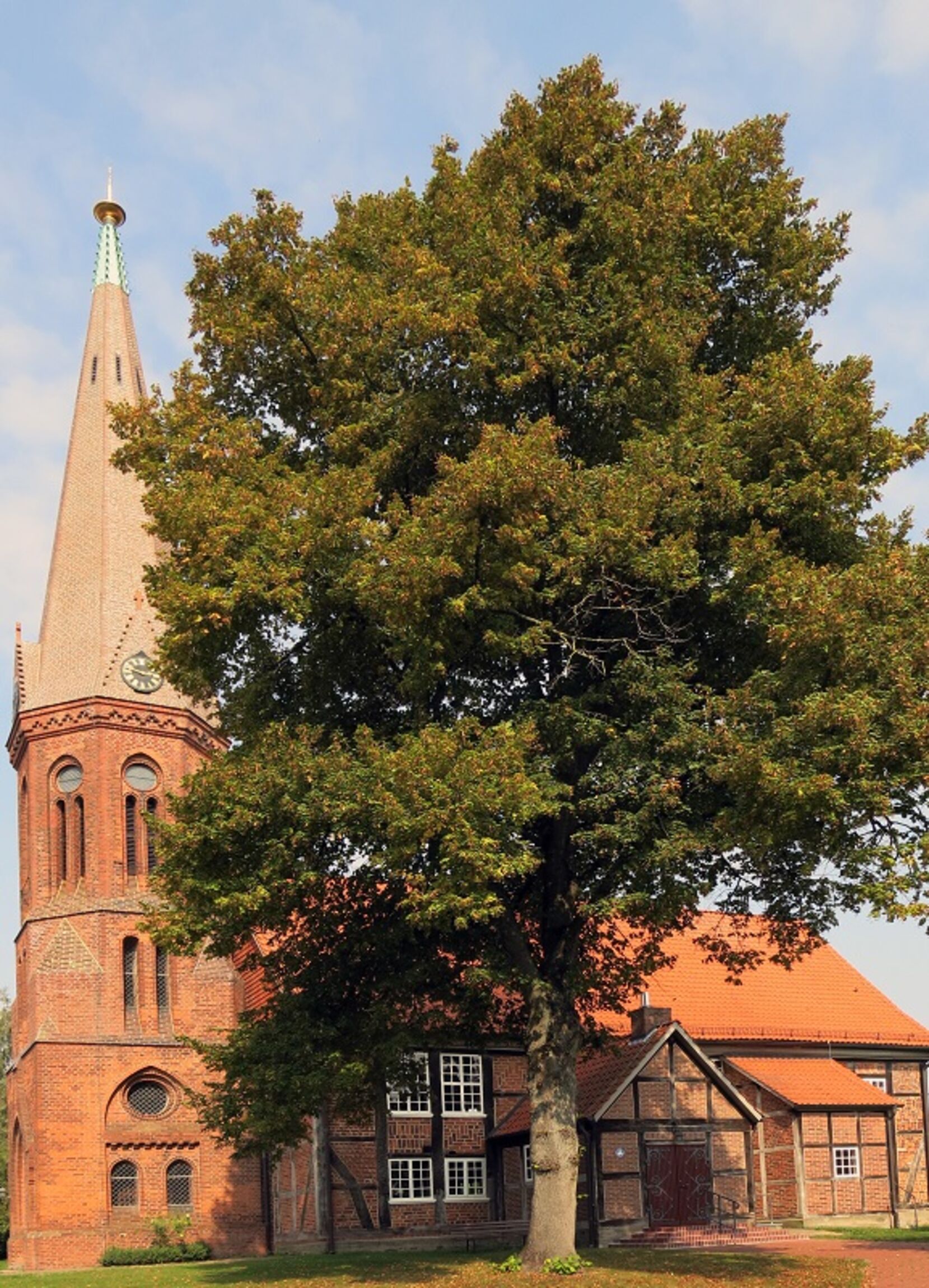 Singlebörse nienburg weser